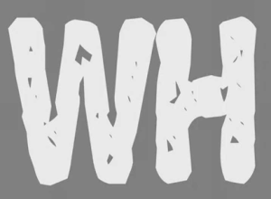 انواع wh questions