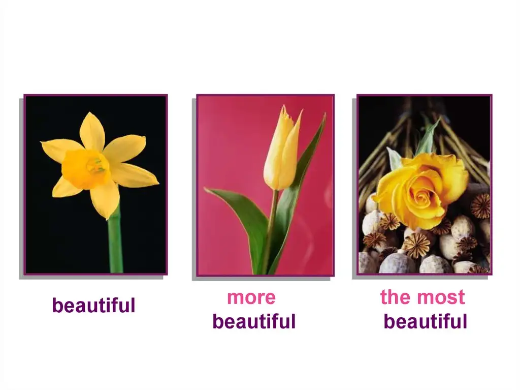 صفات چند بخشی عالی و تفصیلی